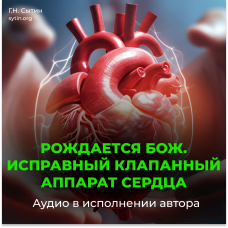 №1 Исправный клапанный аппарат сердца