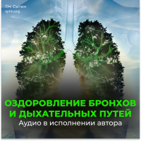 Disk 121 Bronchi. Improvement of the respiratory tract Disk 121 Bronchi. Improvement of the respiratory tract