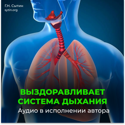 Respiratory tract - Online Disc Respiratory tract - Online Disc