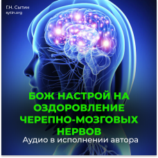 №130 Черепно-мозговые нервы