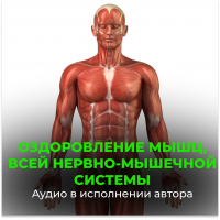 №143 Оздоровление мышц, всей нервно-мышечной системы