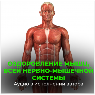 Оздоровление мышц, всей нервно-мышечной системы Оздоровление мышц, всей нервно-мышечной системы