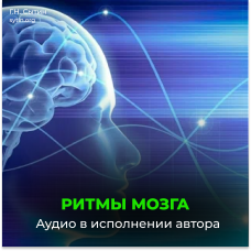 №23 Ритмы головного мозга
