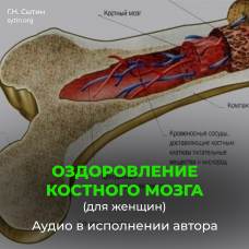 №34 Оздоровление костного мозга для женщин