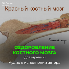 №35 Оздоровление костного мозга для мужчин